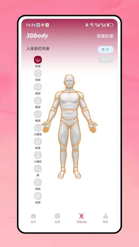 三维人体解剖学图谱3