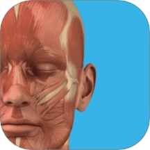 三维人体解剖学图谱