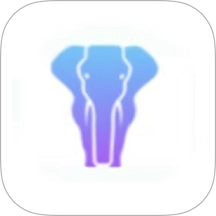 猛犸课堂最新版