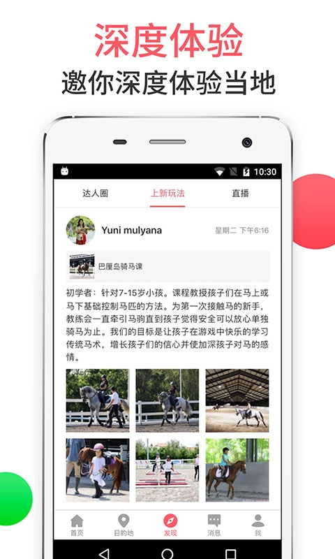 8只小猪旅行平台1