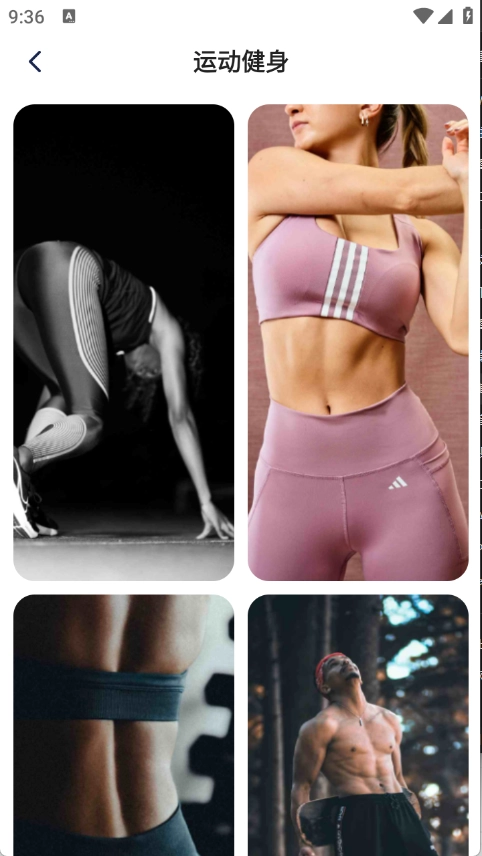 灵蝶壁纸安装最新版截图2