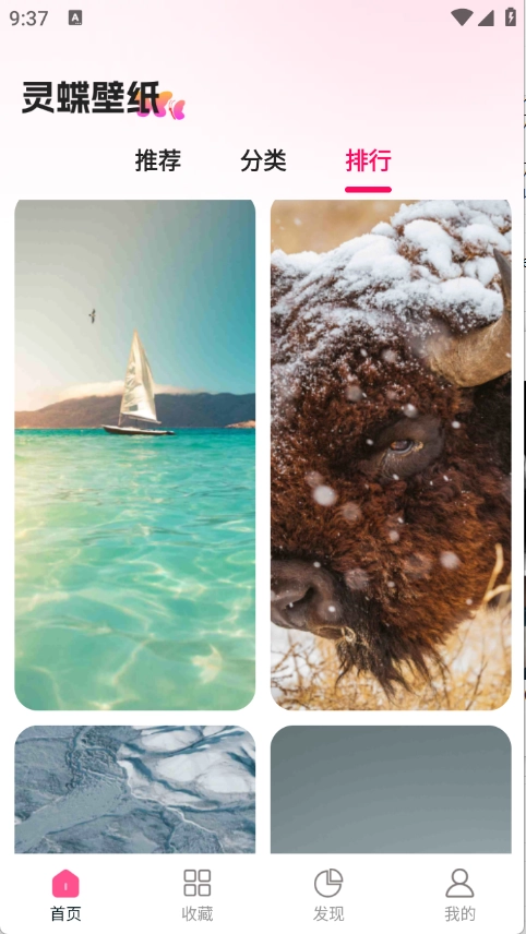 灵蝶壁纸安装最新版截图0