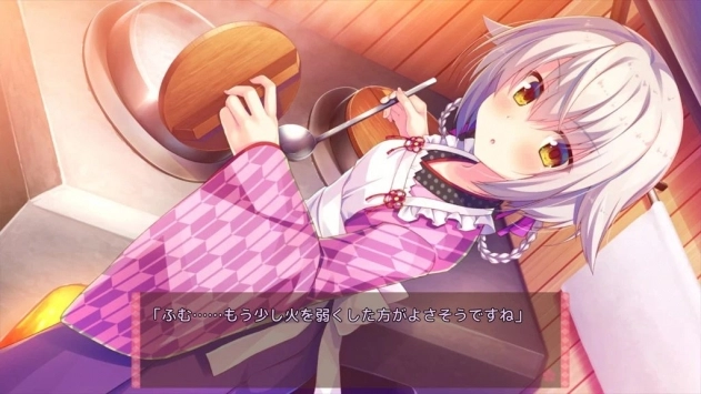 将军大人芳华正茂图4