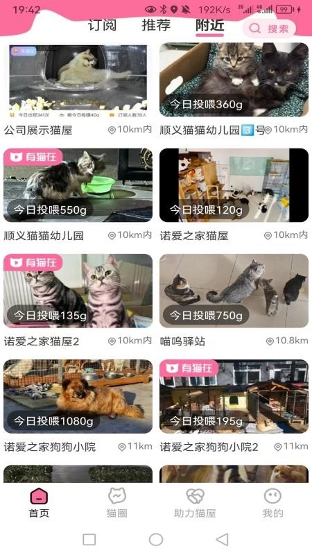 途猫图3