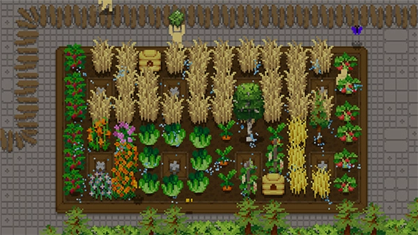 小小露台安卓版图2