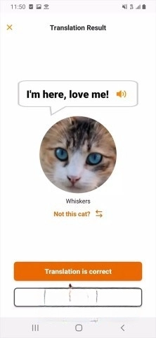 meowtalk