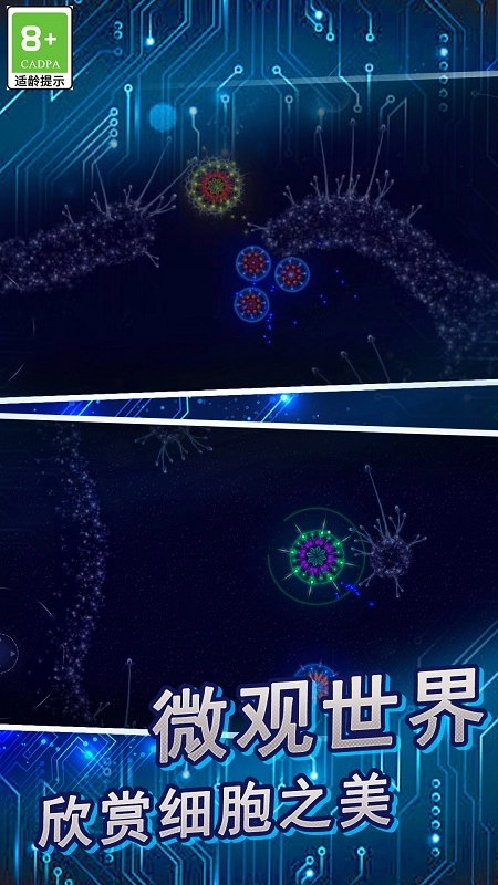 微生物进化世界(1)