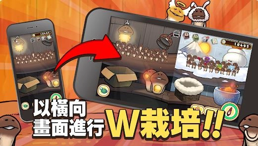 元祖菇菇栽培研究室图4