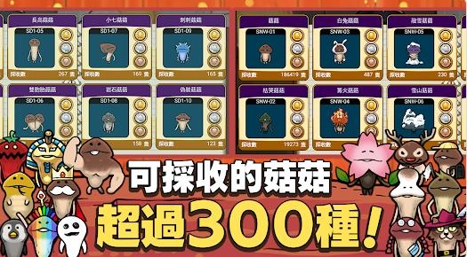 元祖菇菇栽培研究室图3