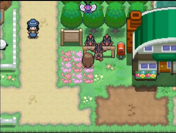 宝可梦蛋白石汉化版图2