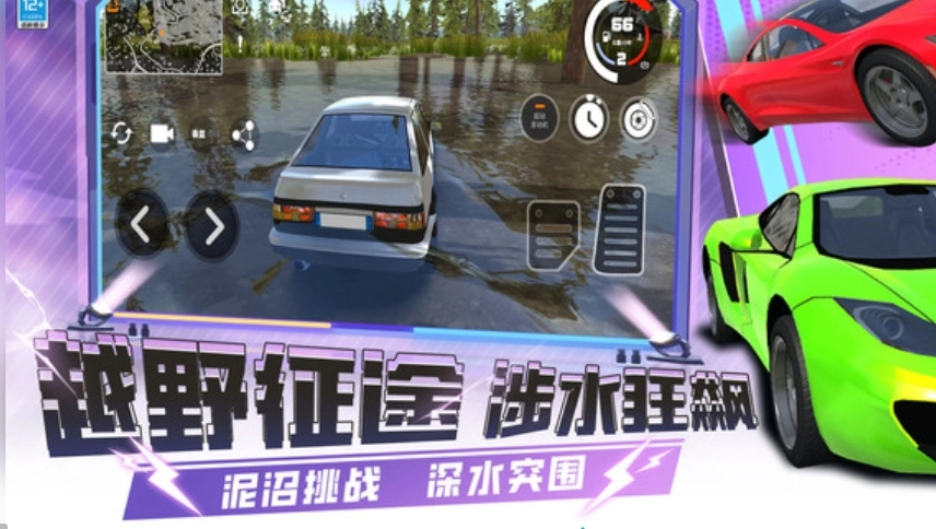 疯狂赛车手3D图2