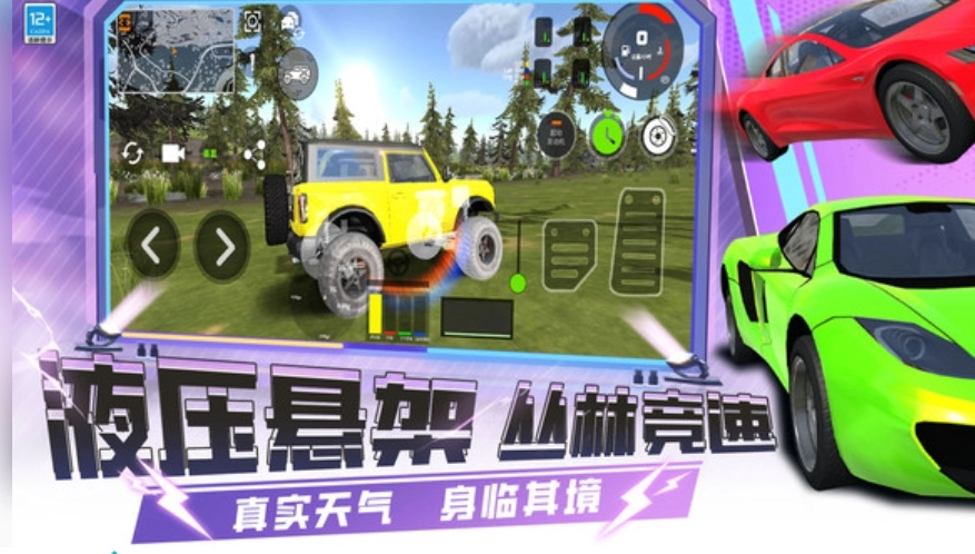 疯狂赛车手3D图3