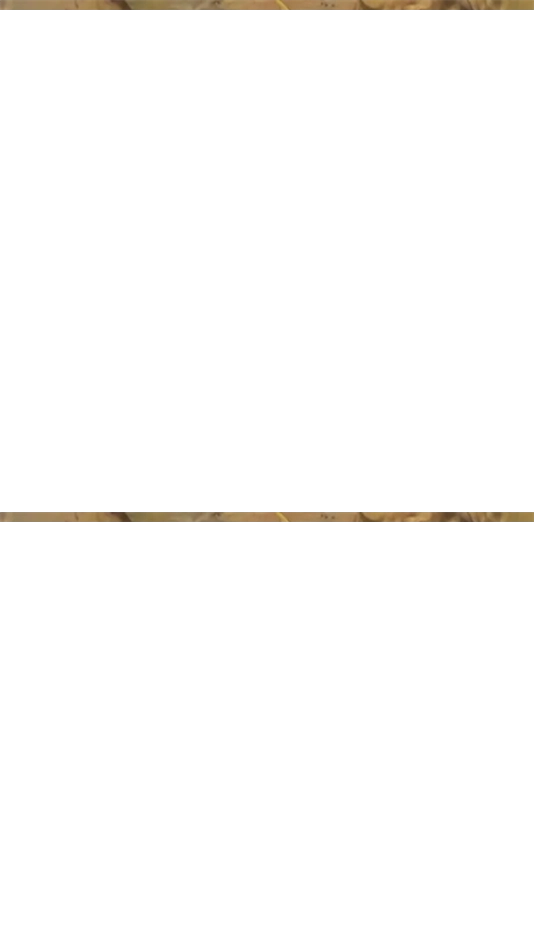 仙悦群侠传游戏-图4