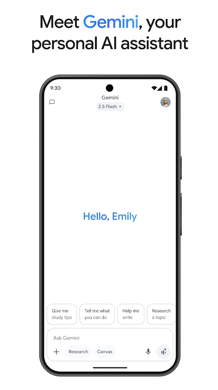 gemini ai模型  安卓版图2