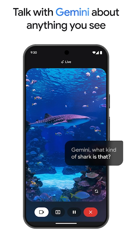 gemini ai模型  安卓版图3
