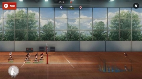 热血排球少女(3)