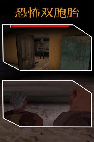 惊魂双胞胎黑客版