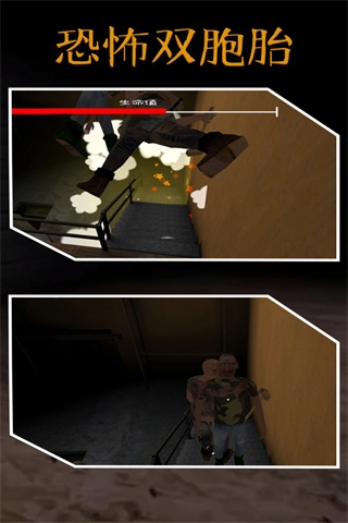 惊魂双胞胎黑客版