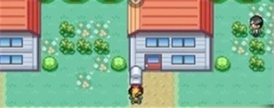 口袋妖怪格查尔最新手机版图5