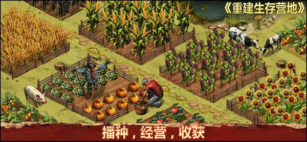 重建生存营地图5