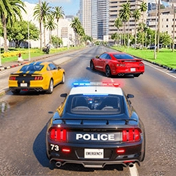 真实警车模拟狂飙 V1.0