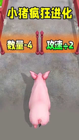 小猪疯狂进化