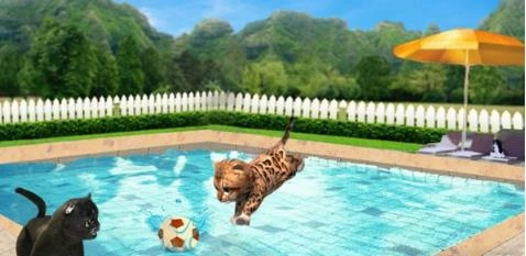 捣蛋猫模拟器图1