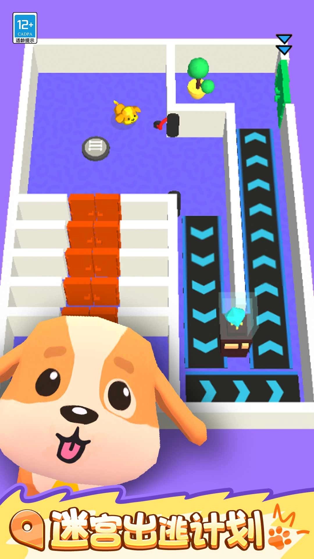 躲猫猫我超强图3