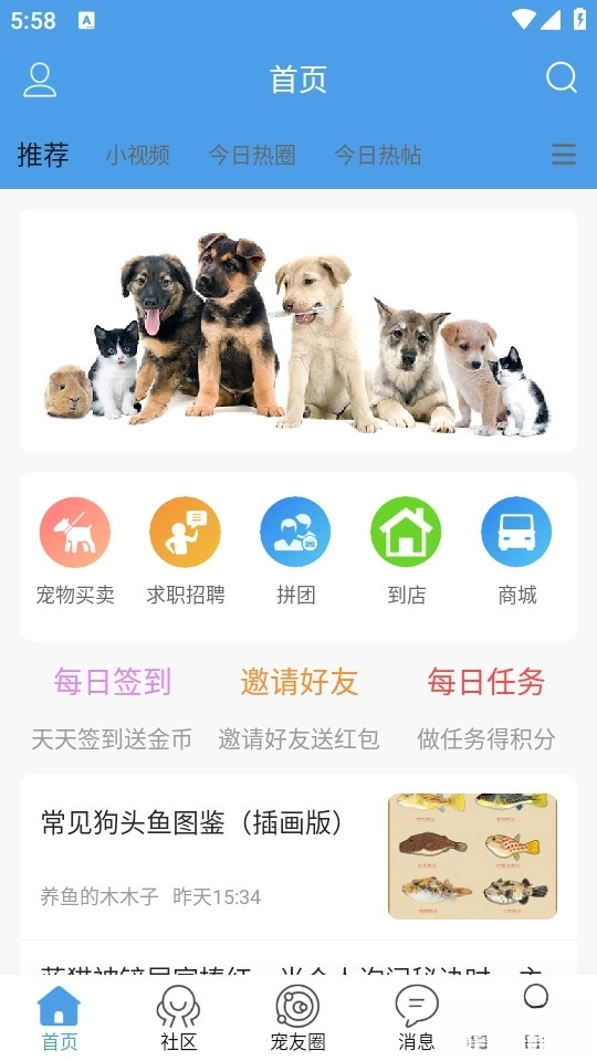 宠物之家手机版(1)