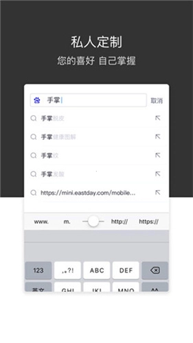 绿叶浏览器图1