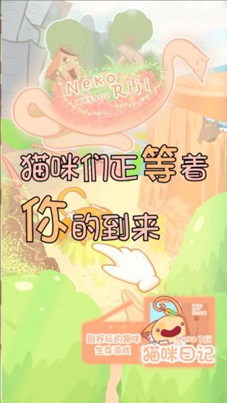 猫咪生存日记(4)