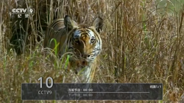 剧迷宝TV最新版图3