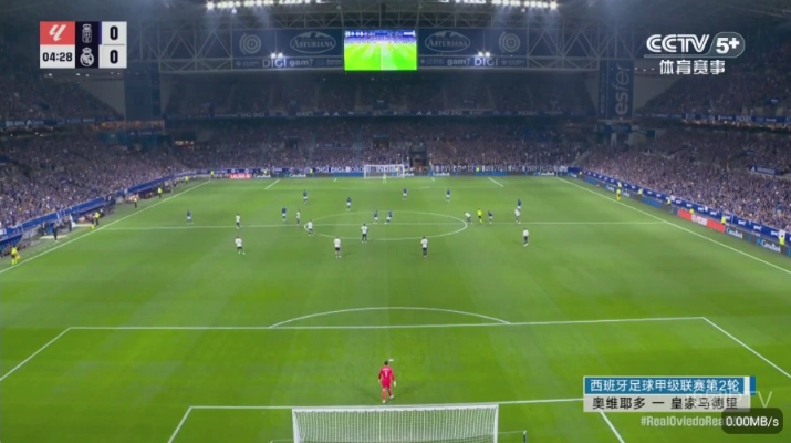 彩虹飞鸟电视TV最新版图3