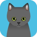 可爱猫咪满满 V1.0.3
