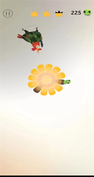 pigeon疯狂的鸽子图1