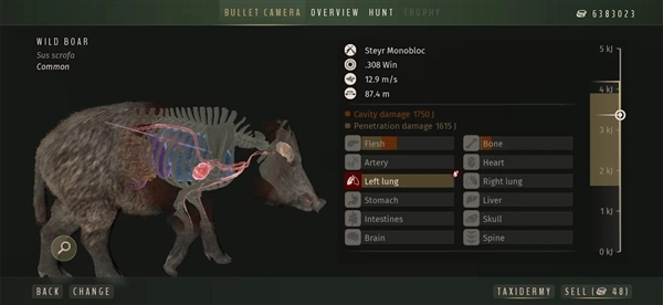 猎人之道狂野欧洲图4