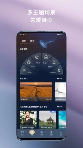 FLOW冥想图5