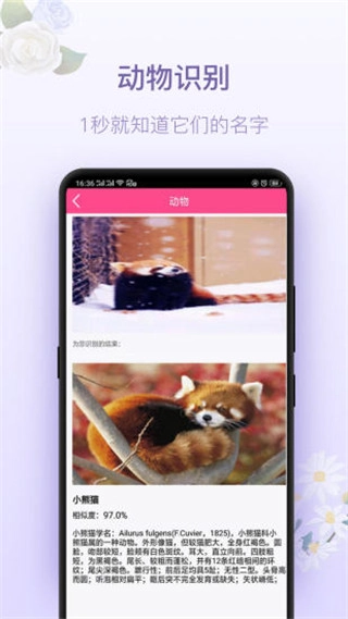 拍照识花神器(5)