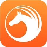 天马浏览器安装手机版