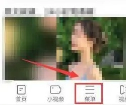 天马浏览器安装手机版