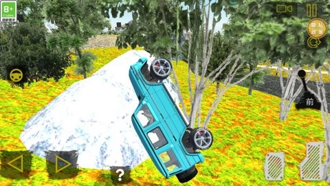 荒野汽车大乱斗最新版(2)