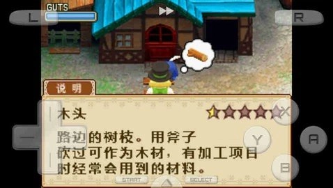 牧场物语之风之集市截图1