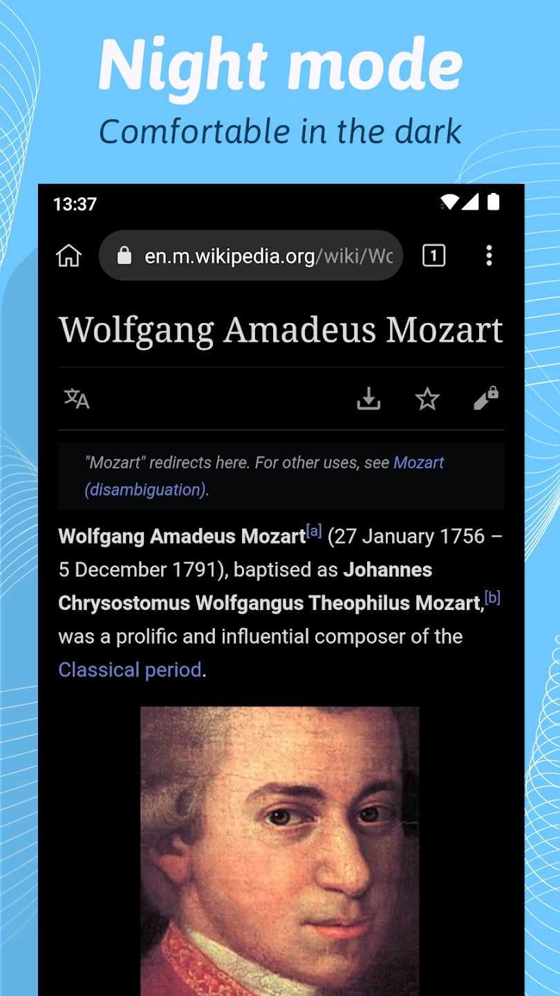 Kiwi浏览器中文 图3