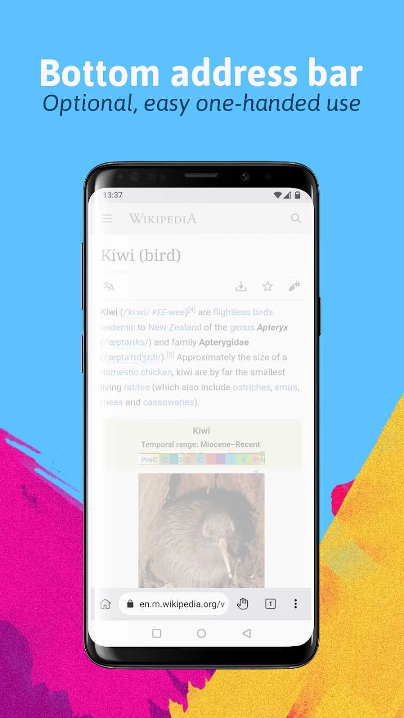 Kiwi浏览器中文 图1