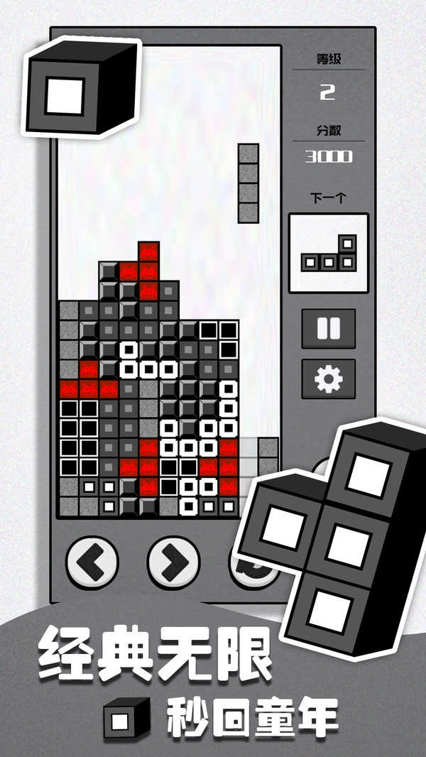 俄罗斯方块黑白版-图3