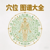穴位图谱大全