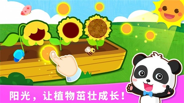 宝宝天气认知最新版截图3