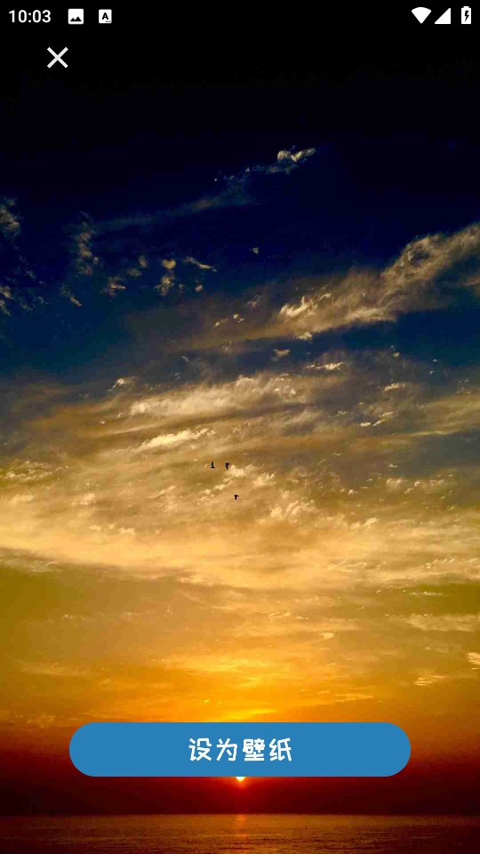 小猪壁纸大全免费版