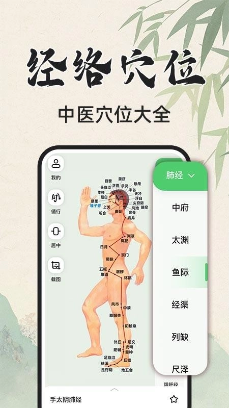 3D人体解剖图图3