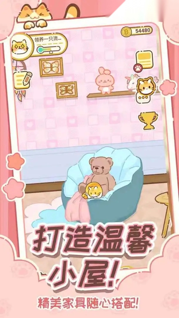 领养一只流浪猫图1